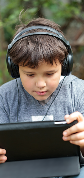 Teleservices: Assessment, Strategies and Evaluation