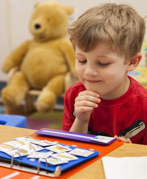 Teaching Picture Discrimination: A Deeper Dive!